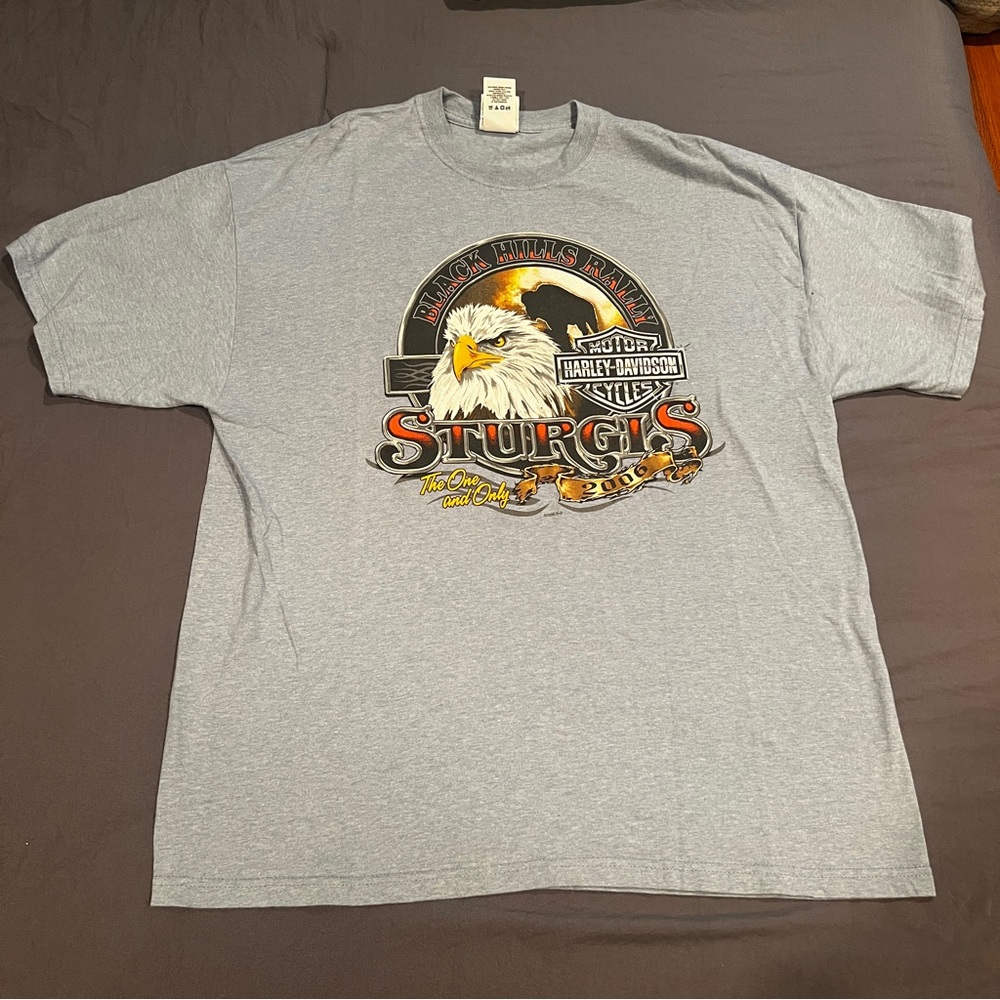 Harley-Davidson Gray Graphic T-Shirt